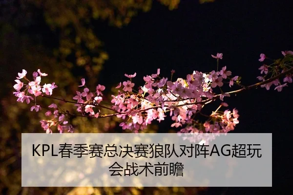 KPL春季赛总决赛狼队对阵AG超玩会战术前瞻