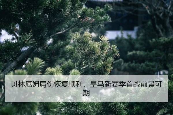 bei-lin-e-mu-jian-shang-hui-fu-shun-li-huang-ma-xin-sai-ji-shou-zhan-qian-jing-ke-qi-2-698.jpg
