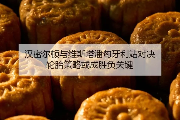 汉密尔顿与维斯塔潘匈牙利站对决 轮胎策略或成胜负关键